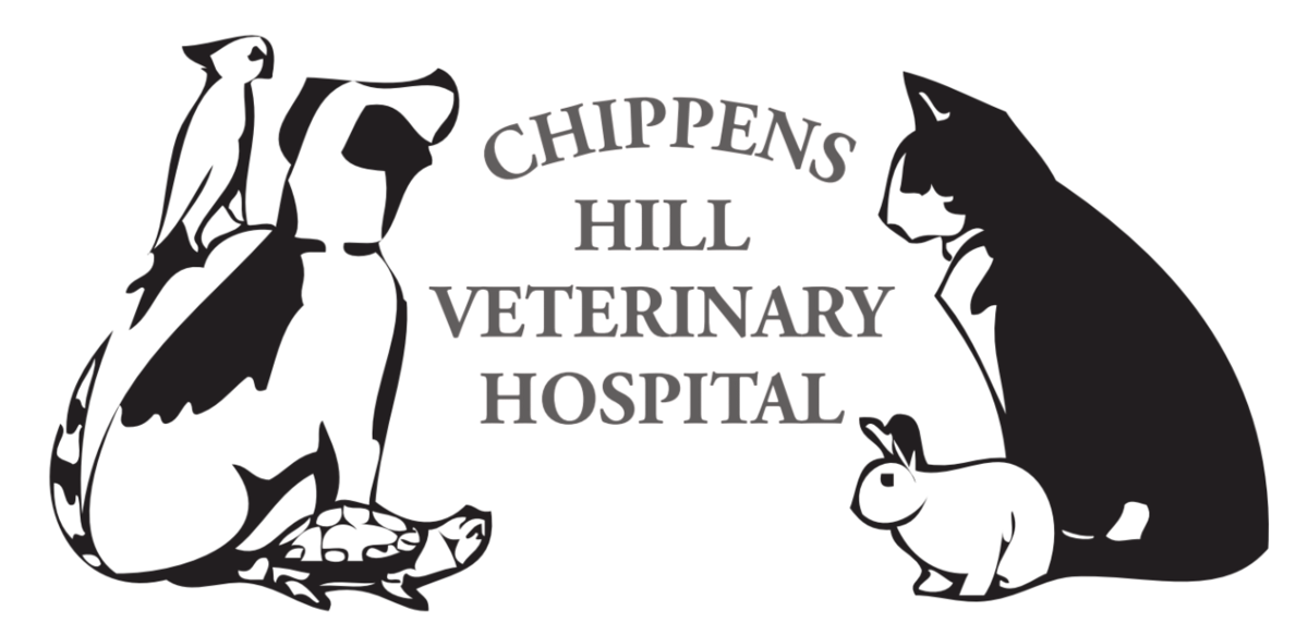 Chippens Hill Veterinary Hospital